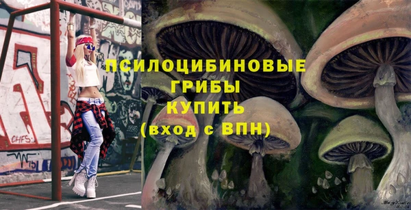 гидра Баксан