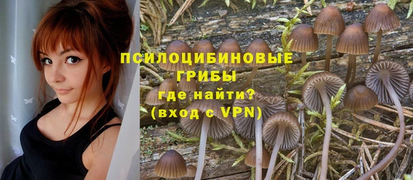 таблы Аркадак