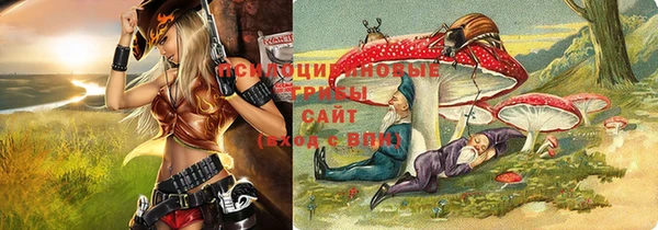 гидра Баксан