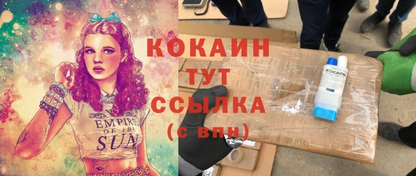 крисы Арсеньев