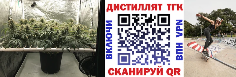 дарнет шоп  Тогучин  ТГК Wax 