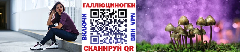 ссылка на мегу ТОР  Тогучин  Псилоцибиновые грибы прущие грибы 